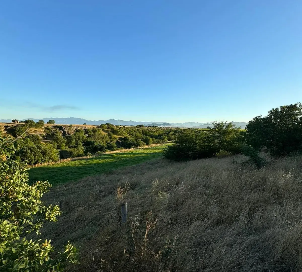 Prodaja, plac, 9500m², Podgorica, Crna Gora