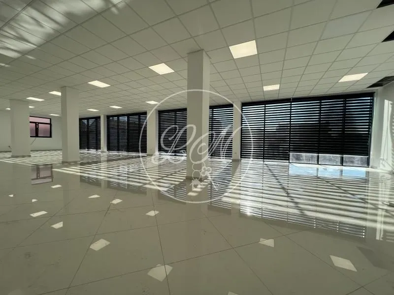 Izdavanje, poslovni prostor, 228m², Altina, Beograd