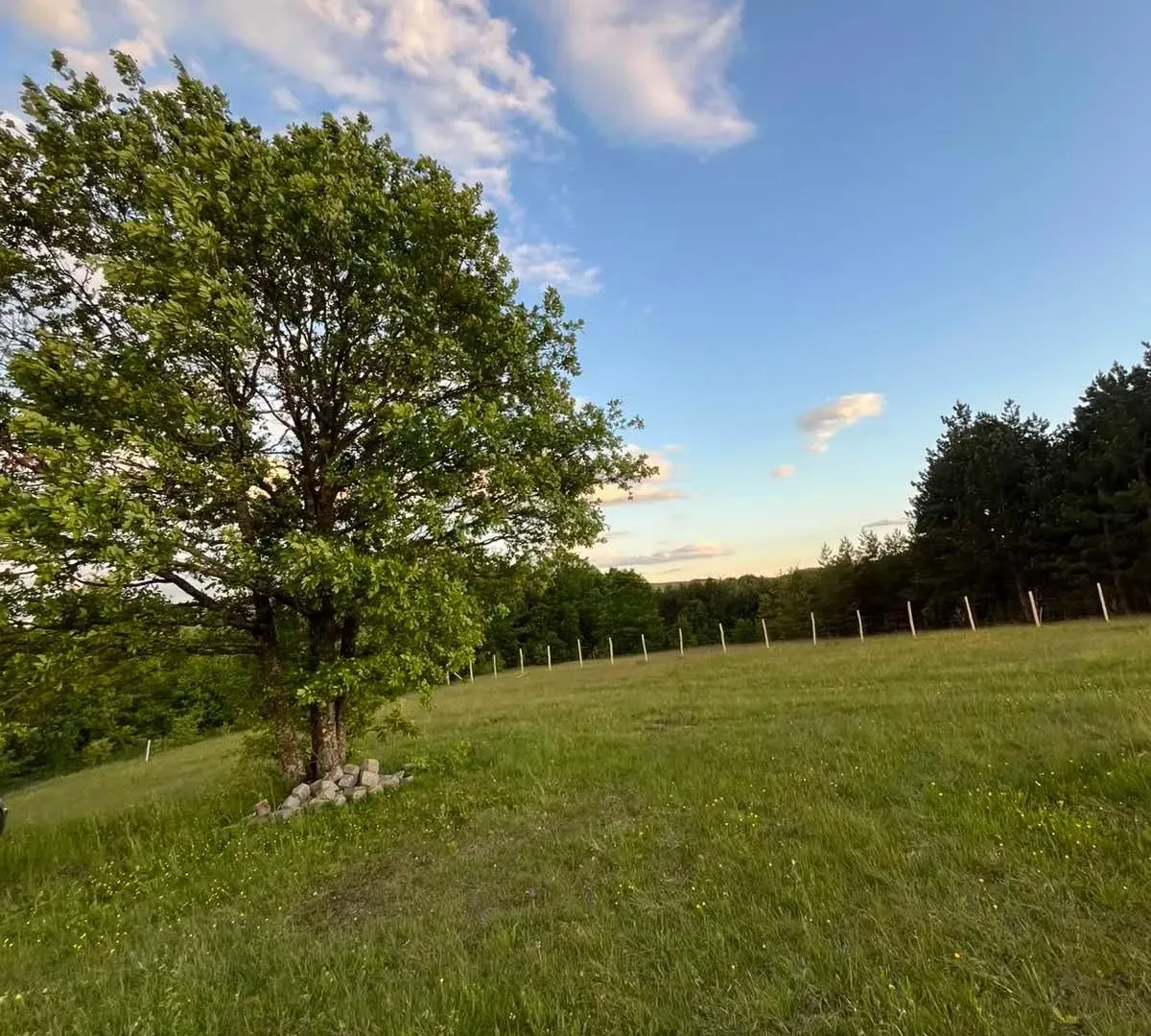 Prodaja, plac, 7500m², Tometino Polje, Požega