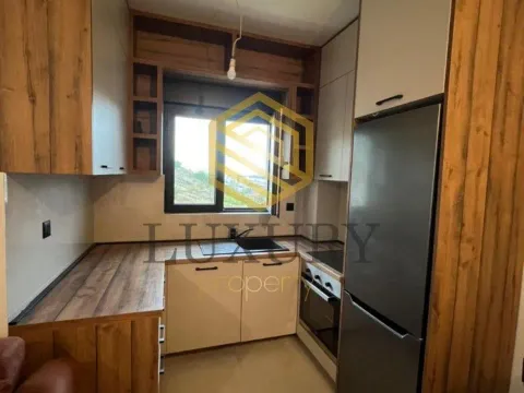 Rent, one bedroom apartment, 47m², Gorica C, Podgorica - image 5