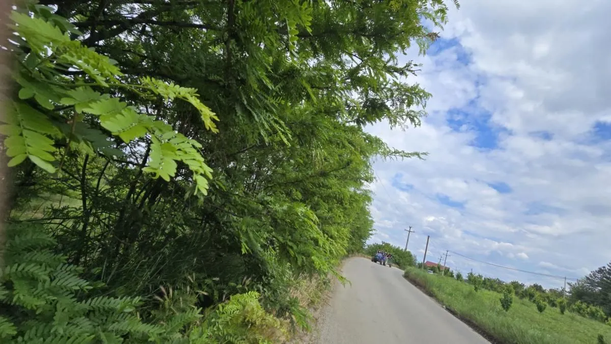 Sale, land lot, 1100m², Ritopek, Grocka