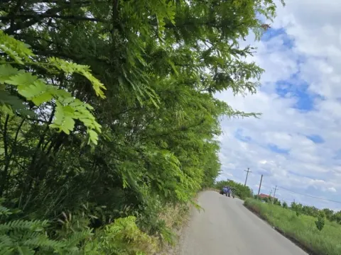Zemljište in Ritopek