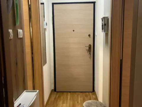 Rent, one bedroom apartment, 41m², Velji Vinogradi, Budva - image 5