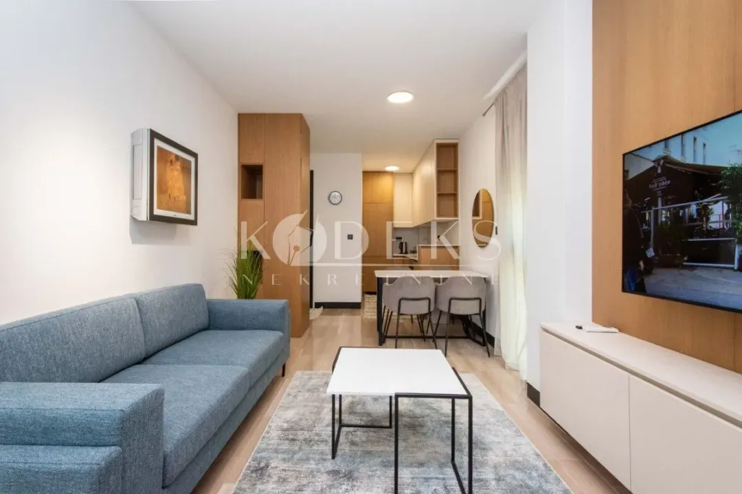 Rent, one bedroom apartment, 43m², Vezirov Most, Podgorica