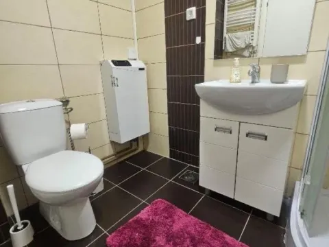 Izdavanje, trosoban stan, 55m², Đeram Pijaca, Beograd - image 11