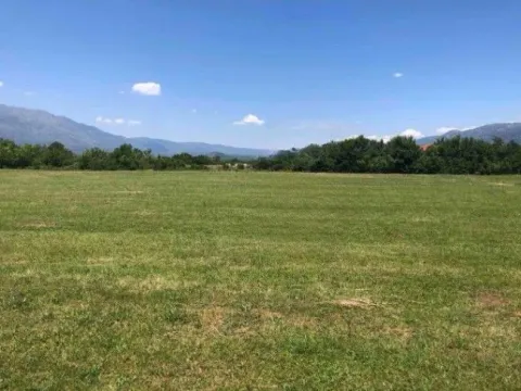 Prodaja, plac, 16200m², Martinići, Danilovgrad - image 2