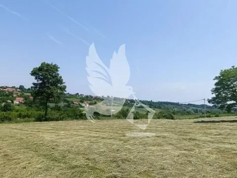 Prodaja, plac, 6951m², Velika Ivanča, Mladenovac - image 3