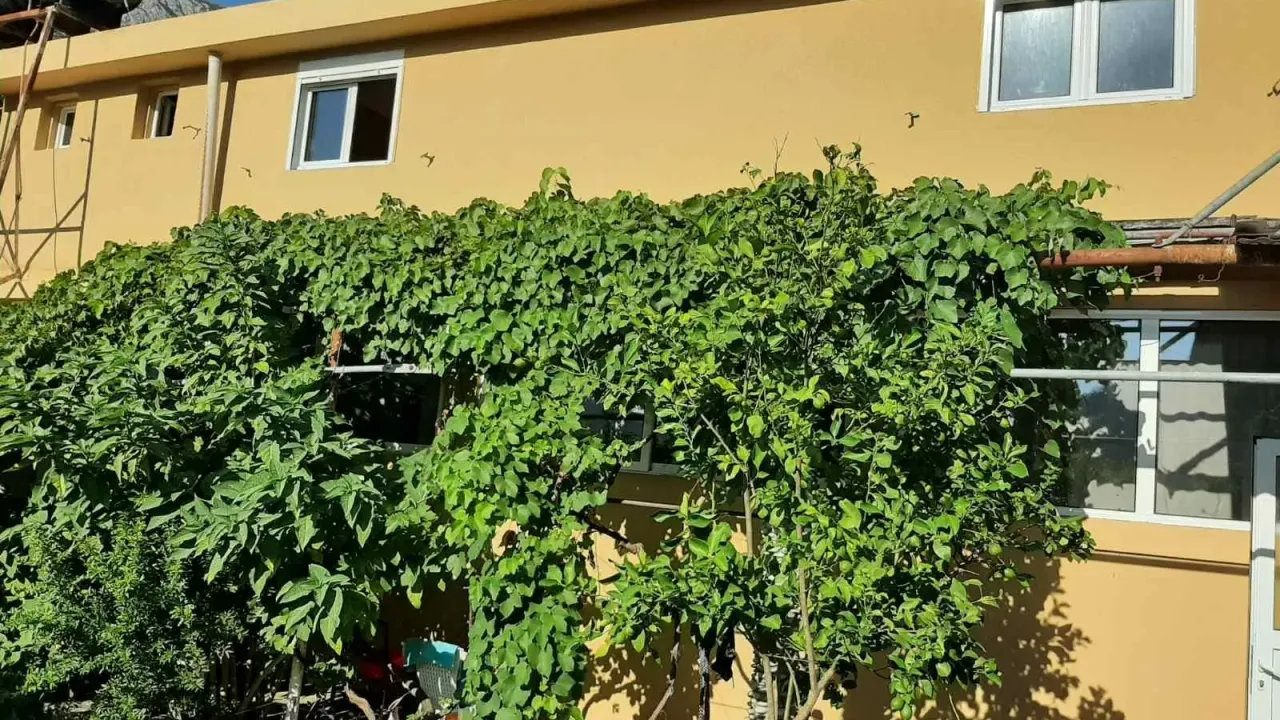 Prodaja, kuća, 210m², Bar, Crna Gora