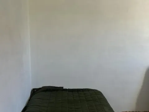 Prodaja, kuća, 160m², Begeč, Novi Sad Sve Podlokacije - image 7