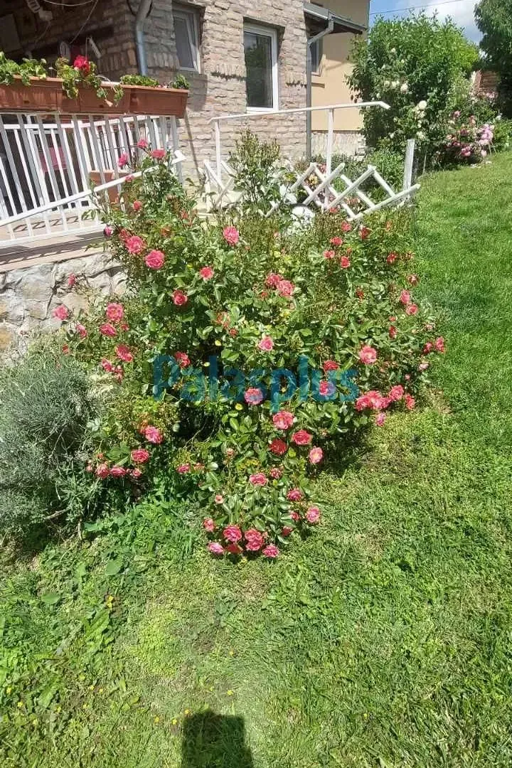 Prodaja, kuća, 337m², Stara Lipovica, Barajevo