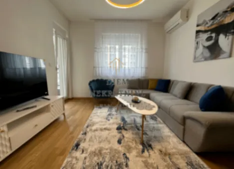 Izdavanje, jednosoban stan, 47m², Stari Aerodrom, Podgorica - image 2