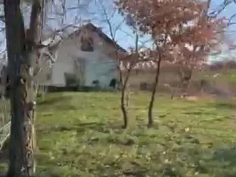 Prodaja, plac, 1600m², Petrovaradin, Novi Sad - image 2