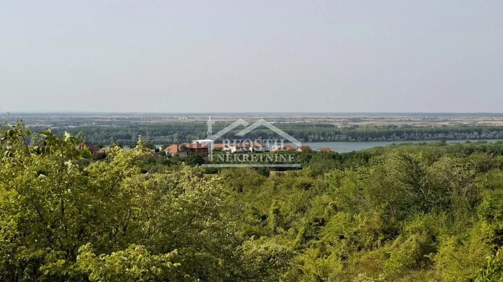 Pogled na reku i prirodu iz prizemlja.