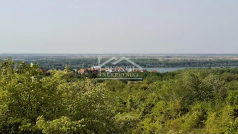 Pogled na reku i prirodu iz prizemlja. - image 6