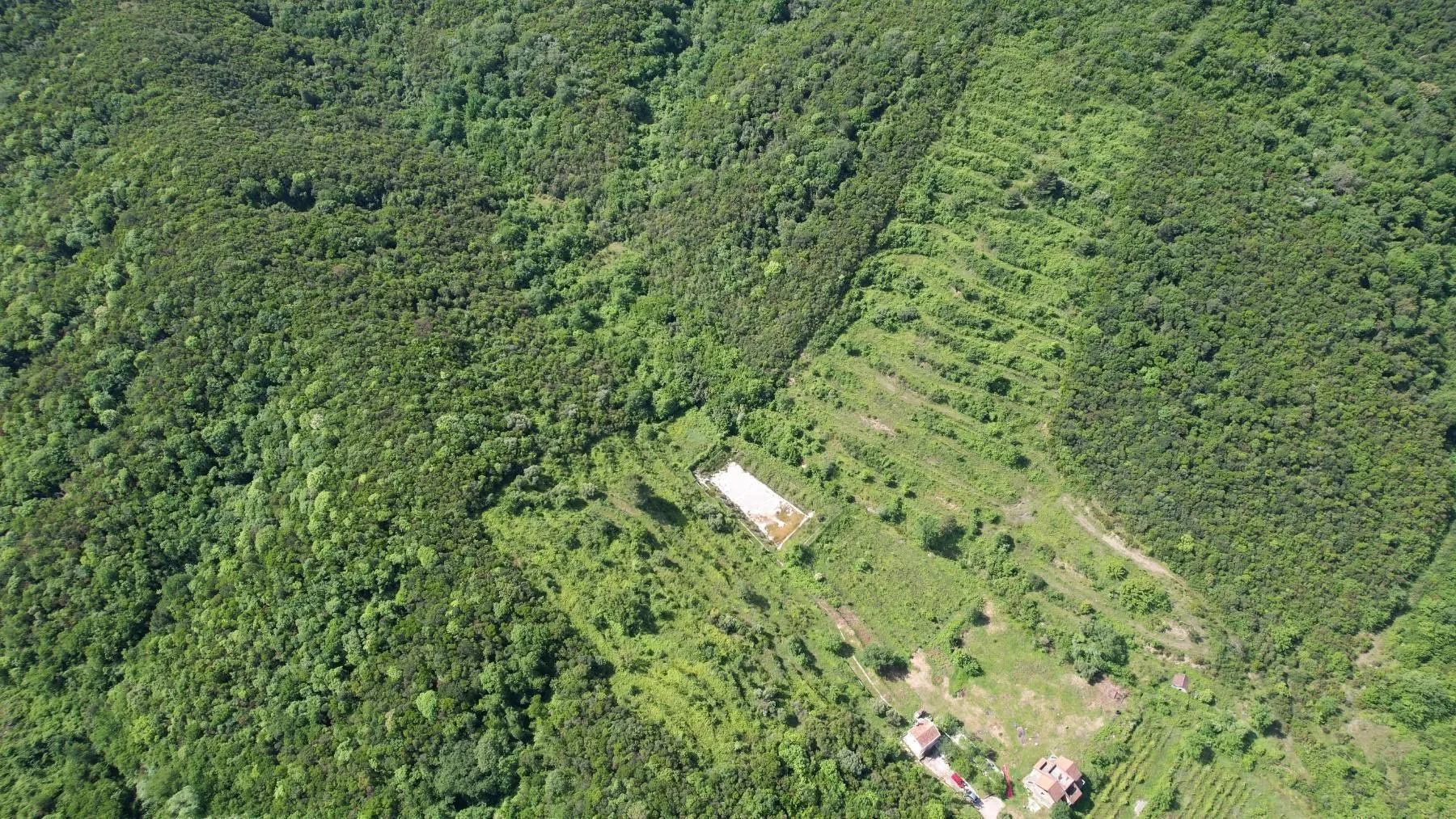 Prodaja, plac, 83000m², Radanovići, Kotor