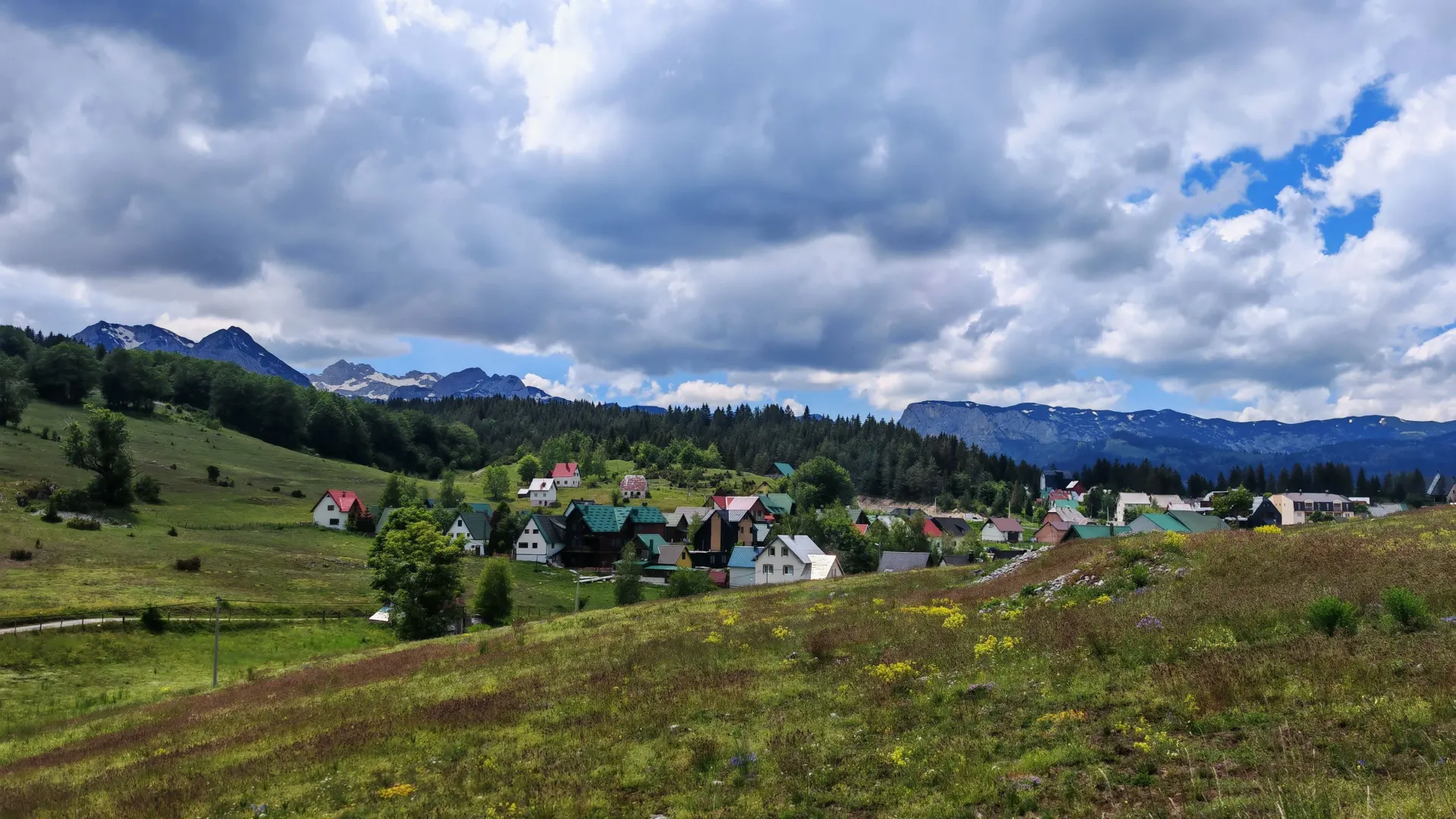 Prodaja, plac, 1000m², Motički gaj, Žabljak