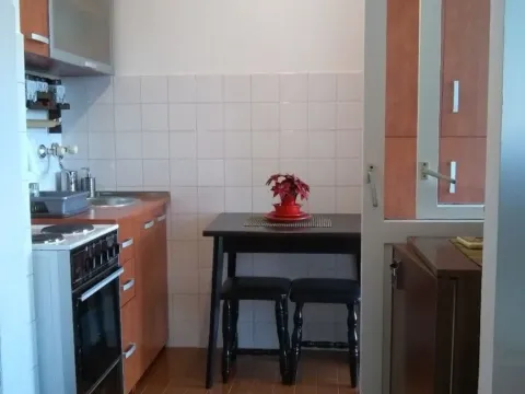 Izdavanje, stan, 32m², Zabjelo, Podgorica - image 9