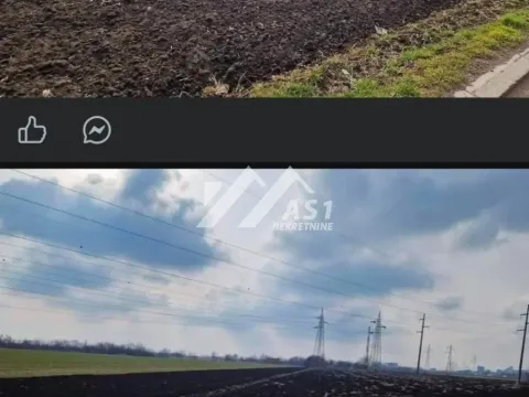 Prodaja, plac, 324000m², Zeleno Polje, Zrenjanin - image 4