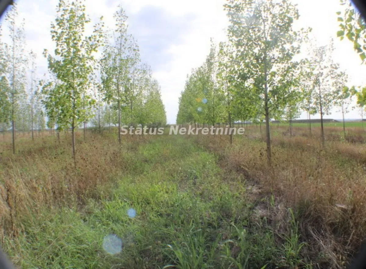 Prodaja, plac, 1378m², Zrenjanin, Srbija