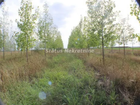 Prodaja, plac, 1378m², Zrenjanin, Srbija - image 29