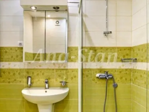 Izdavanje, dvosoban stan, 55m², Savski Venac, Beograd - image 7