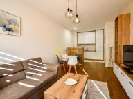 Izdavanje, jednosoban stan, 43m², Pobrežje, Podgorica - image 2