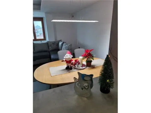 Izdavanje, jednosoban stan, 58m², Centar, Niš - image 2