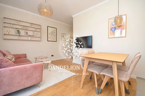 Rent, one bedroom apartment, 59m², Central Point, Podgorica - image 611