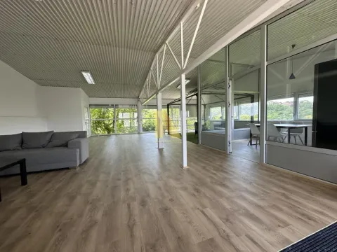 Rent, office space, 300m², Ledinci, Petrovaradin - image 10