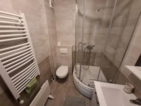 Prodaja, jednosoban stan, 36m², Zlatibor, Srbija - image 12