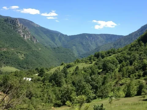 Prodaja, plac, 23425m², Plužine, Crna Gora - image 7