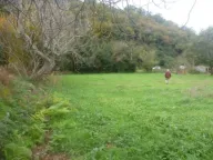 Sale, land lot, 1915m², Zaljevo, Bar - image 4