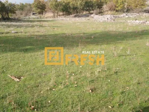 Prodaja, zemljište, 9600m2, Rogami, Podgorica Prodaja, zemljište, 9600m2, Rogami, Podgorica