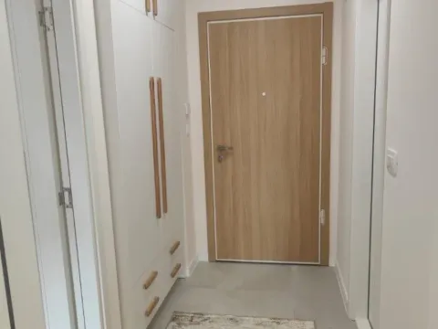 Izdavanje, jednosoban stan, 50m², Central Point, Podgorica - image 7