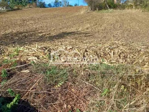 Prodaja, plac, 4800m², Sopot, Beograd - image 3