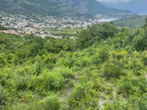 Prodaja, plac, 1600m², Sutomore, Bar - image 4