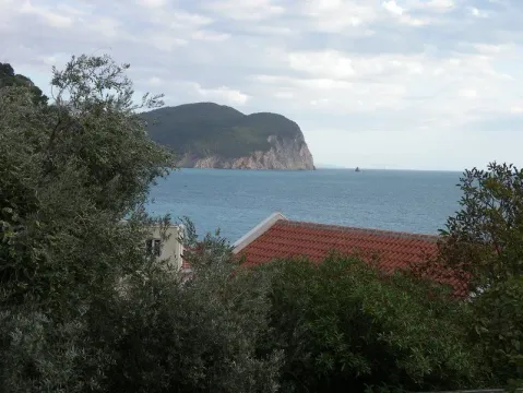 Prelijep pogled na more i brda kroz mediteransko rastinje. - image 2