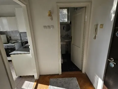 Rent, one bedroom apartment, 30m², Vračar Hram, Vračar Sve Podlokacije - image 14