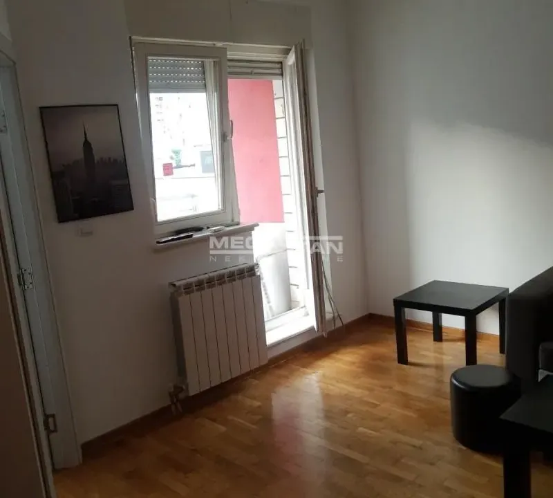Izdavanje, dvosoban stan, 40m², Novi Beograd Blok 63, Novi Beograd Sve Podlokacije