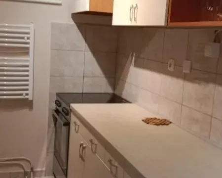 Rent, two bedroom apartment, 53m², Grbavica, Novi Sad Sve Podlokacije - image 9