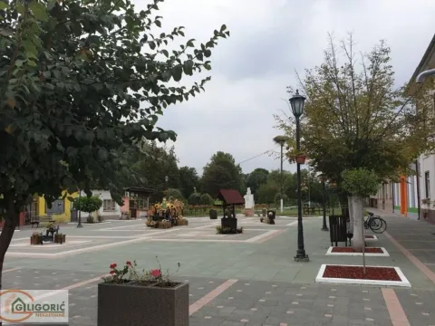 Prodaja, kuća, 354m², Uzdin, Kovačica - image 16