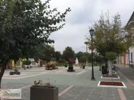 Prodaja, kuća, 354m², Uzdin, Kovačica - image 16