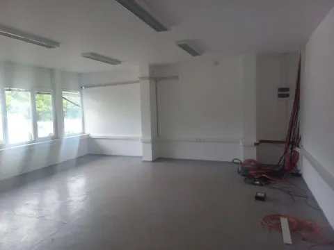 Izdavanje, poslovni prostor, 700m², Zemun Sve Podlokacije, Beograd - image 13