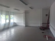 Izdavanje, poslovni prostor, 700m², Zemun Sve Podlokacije, Beograd - image 13