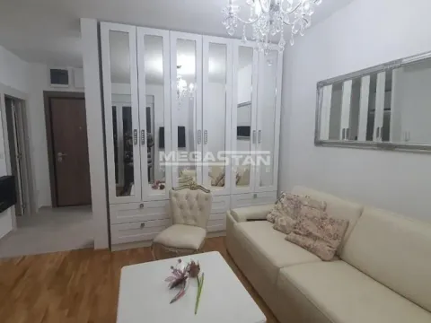 Izdavanje, dvosoban stan, 50m², Hala Pionir, Palilula Sve Podlokacije - image 4