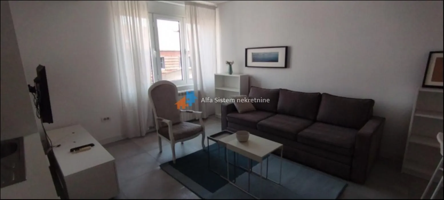 Izdavanje, dvosoban stan, 42m², Vračar Sve Podlokacije, Beograd