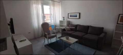 Izdavanje, dvosoban stan, 42m², Vračar Sve Podlokacije, Beograd - image 3