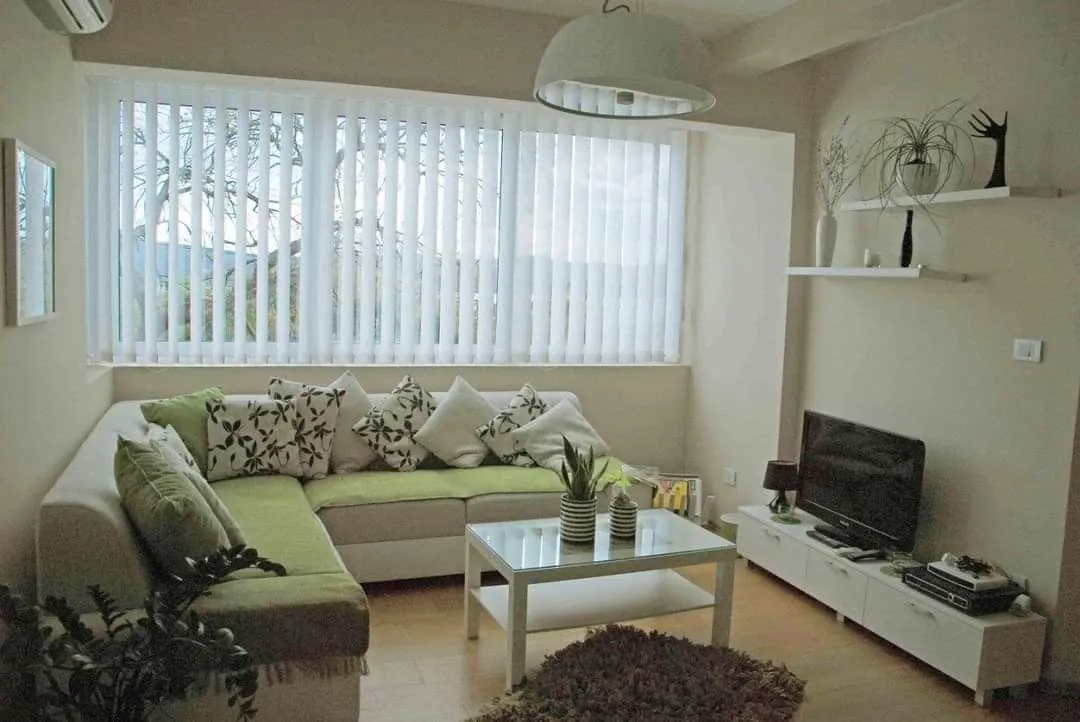 Comfortable living room with a sofa, coffee table and TV.