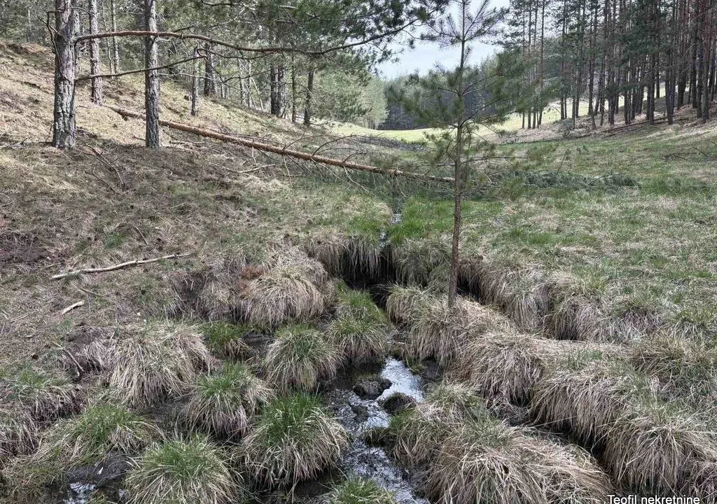 Prodaja, plac, 6600m², Zlatibor, Srbija