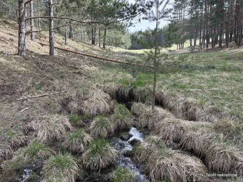 Zemljište in Zlatibor